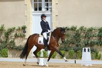 CDI Pompadour - Goud