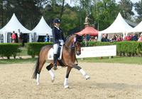 CDIO Saumur - Zilver met het team
