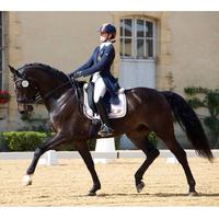 CDI Pompadour - Goud