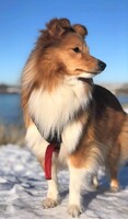 Ella 2 år