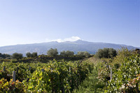 Alla scoperta dei vini della Sicilia orientale