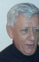 Ad van Arkel