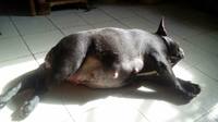 Molly feels the sunshine