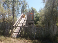 BLACKWOOD 7 hectare woodland