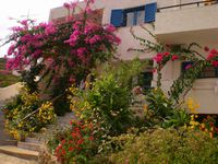 Les appartements et chambres