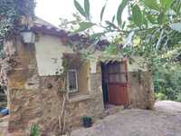 External kitchen