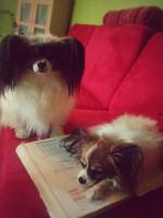 Libi&Jessy