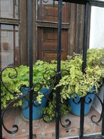 Mijas