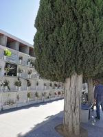 Frigiliana