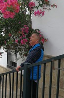 Ardeles