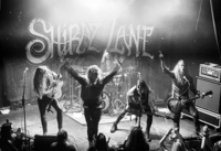 Shiraz Lane - Backstage 2020