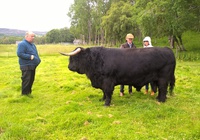 Prionnsa Dubh of Craigowmill mit seinem Züchter Ken Brown und Dochie Ormiston, Stockman of Balmoral
