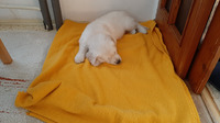 28. 3. - Tři ségry a brácha už jsou pryč...