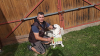 OVVR - Zábřeh - 232 bodů, 1.místo - sedmiměsíční slečna