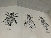 Muzeum včelařství Moravského krasu