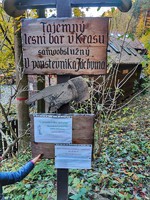 Lesní bar v cíli