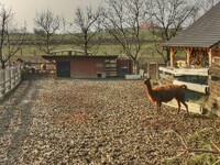 Ranč Valkýra