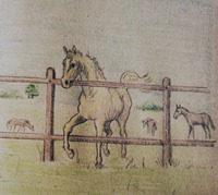 Ilustrácia z knižky Faló.