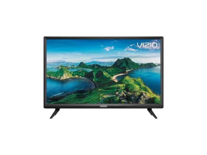 VIZIO D-series 24 HD LED Smart TV (D24h-G9) :: 4ktvworld