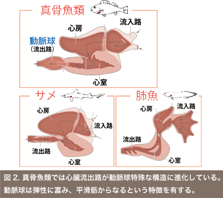 Researches Yuuta Moriyama Personal Website