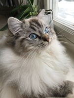 Mor: Louise