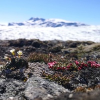 Ingunn Romundstad sitt vinnerbilde i mai-konkurransen. @ingunnrom på Instagram
