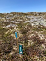Skiltet viser den nye stien til Gråurfjellet. (Foto: Anne Skjølsvold)