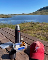 Gråurtjønna. (Foto: Odd Inge Løfald)