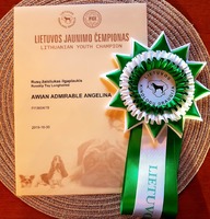 Awian Admirable Angelina LT JMVA