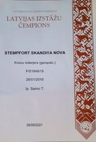 LV MVA Stempfort Skandiya Nova