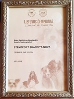 LT MVA Stempfort Skandiya Nova