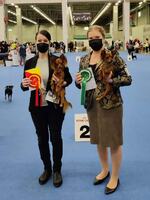 18-19.12.2021 Helsinki Voittaja, Winner Show HejW-21, HeW- 21, V-21, JV-21 Awian Endless Love ROP & Awian Dream Duchess Revolution HeJW-21, HeW-21, JV-21 VSP