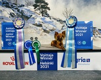 19.12.2021 Helsinki Voittaja, Winner Show Awian Endless Love V-21, JV-21, VSP
