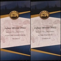 TALLINN WINNER 2022 Diplomit