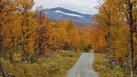 Höst i fjällvärlden 2020