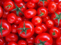 Tomatoes - Lycopene