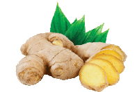 Jerusalem Artichoke