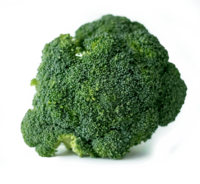 Brokkoli - Broccoli
