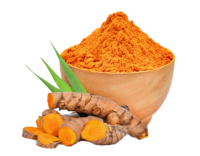 Curcuma longa - Gurkemeie - Turmeric