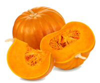 Cucurbita maxima Gresskarfrø Pumpkin Græskar - Pumpa