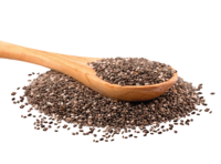 Chia - salvia hispanica