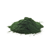 Chlorella