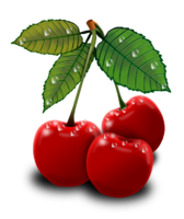 Acerola