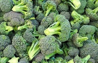 Sulforaphane in Broccoli
