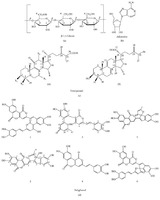 Antifatigue Functions and Mechanisms of Edible and Medicinal Mushrooms.