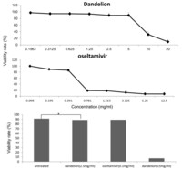 Anti-influenza virus effect of aqueous extracts from dandelion.