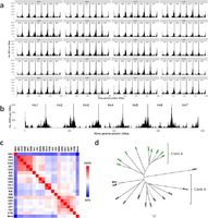 Genome-wide distribution of the SNPs identified using RNA-seq analysis of the 20 diverse barley accessions.. From: Analysis of single nucleotide polymorphisms based on RNA sequencing data of diverse bio-geographical accessions in barley.