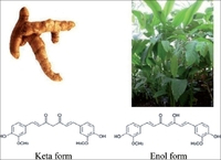 Turmeric, (2b) Turmeric plant, (2c) Keto and enol form of curcumin