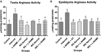 Dietary supplementation of ginger and turmeric improves reproductive function in hypertensive male rats. Effects of dietary supplementation of turmeric and ginger on the testicular and epididymal arginase activity in control and L-NAME-induced hypertensive rats. Data are presented as mean + SEM (n = 10). Bars with different letters are statistically different (p < 0.05). Control: Normotensive control rats placed on basal diet; Induced: Hypertensive rats placed on basal diet; L-NAME + AT: Hypertensive rats placed on basal diet + atenolol (10 mg/kg/day); RG Control: Normotensive rats placed on basal diet supplemented with 4% turmeric; RG + L-NAME: Hypertensive rats placed on basal diet supplemented with 4% turmeric; WG Control: Normotensive rats placed on basal diet supplemented with 4% ginger; WG + L-NAME: Hypertensive rats placed on basal diet supplemented with 4% ginger. Ayodele Jacob Akinyemi, et al. Toxicol Rep. 2015;2:1357-1366