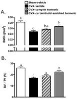 Protection of Trabecular Bone in Ovariectomized Rats by Turmeric (Curcuma longa L.) is Dependent on Extract Composition. Effect of two months of curcuminoid-containing turmeric extracts on bone mineral density (BMD) and bone volume fraction (BV/TV) was assessed by dual-energy x-ray absorptiometry (DXA), and micro-computerized tomography (μCT), respectively. Three-month old female Sprague Dawley rats (n = 9–11 animals/group) were ovariectomized (OVX) and treated ip for two months with vehicle, a complex turmeric fraction (41% curcuminoids by weight), or a curcuminoid-enriched extract of turmeric (94% curcuminoids by weight). Both extract doses were normalized to curcuminoid content (60 mg/kg, three times per week). Statistical significance was determined by ANOVA with Student-Newman-Keuls post hoc test. Values that do not share the same superscript are significantly different at p < 0.05 for the respective timepoint. (A) After two months of treatment (d 56), BMD was significantly decreased in OVX-vehicle treated animals relative to sham-vehicle. Complex turmeric treatment had no effect on BMD relative to OVX-vehicle treated animals, however, treatment with curcuminoid-enriched turmeric extract significantly protected BMD, preventing 50% loss. (B) Effects of treatment on BMD were confirmed by μCT, a more sensitive measure of three-dimensional content and architecture of trabecular bone. Treatment effects on BV/TV mirrored BMD results on d 56, confirming a lack of effect of treatment with complex turmeric, and approximately 50% protection of BV/TV conferred by treatment with curcuminoid-enriched turmeric. Laura E. Wright, et al. J Agric Food Chem. ;58(17):9498-9504